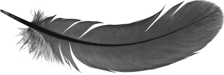 Перья окружающий мир 1 класс