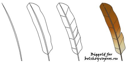 Перо голубя нарисовать