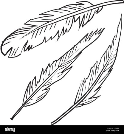 Перо птицы для рисования