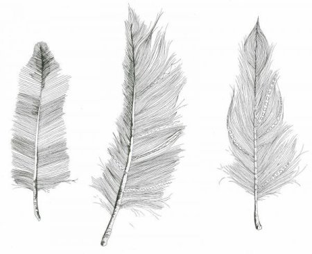 Перо карандашом