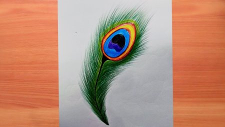 Перо павлина рисунок карандашом