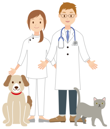 Профессия ветеринар раскраска