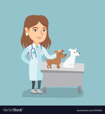 Профессия ветеринар раскраска