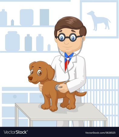 Ветеринар для детей