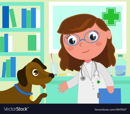 Ветеринар картинки для детей