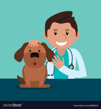 Ветеринар для детей