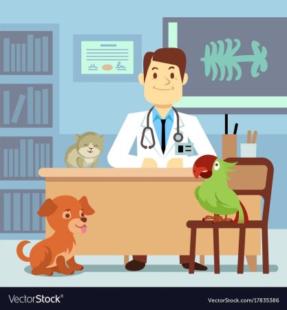 Раскраска ветеринар