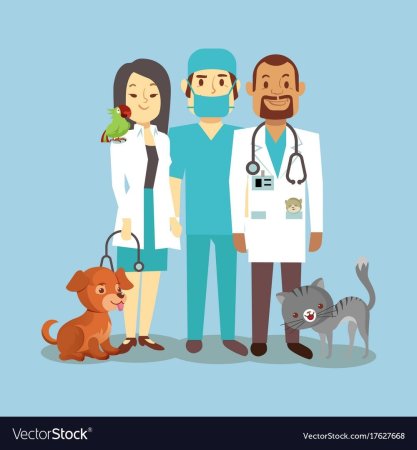 Профессия ветеринар раскраска