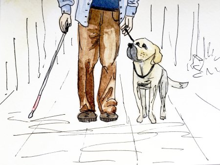 Собака поводырь