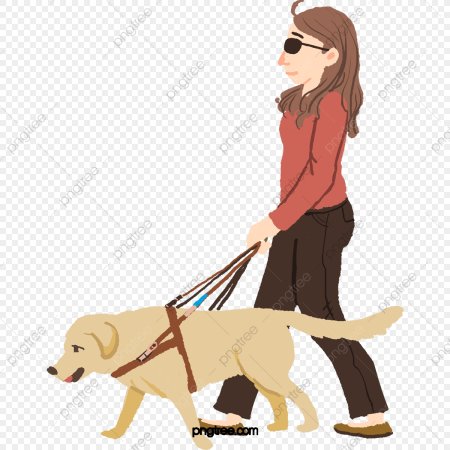 Собака поводырь