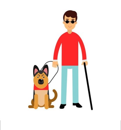 Лабрадор ретривер поводырь