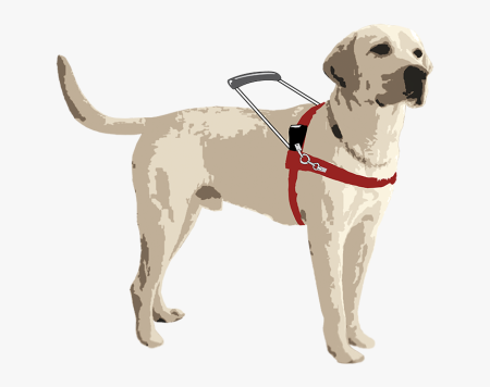 Собака поводырь рисунок