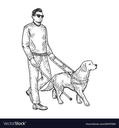 Собака поводырь