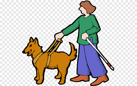 Женщина с собакой поводырем