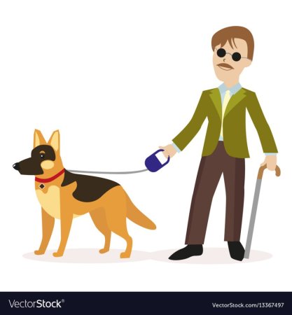 Собака поводырь иллюстрация