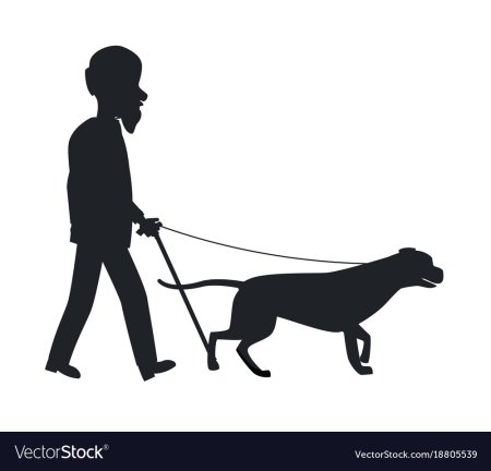 Пиктограмма собака поводырь