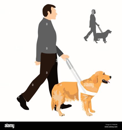 Собака поводырь раскраска