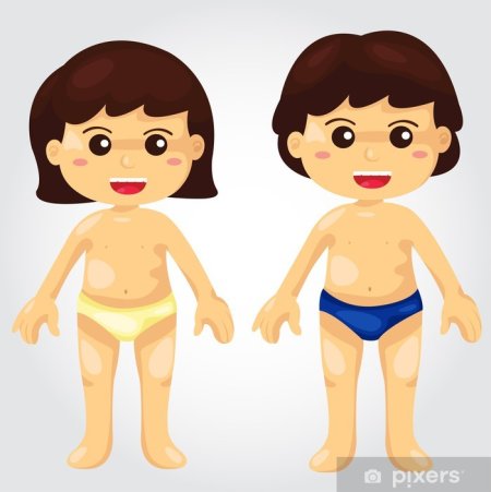 Тело человека для детей