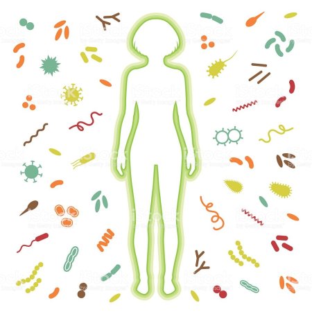 Очищение тела