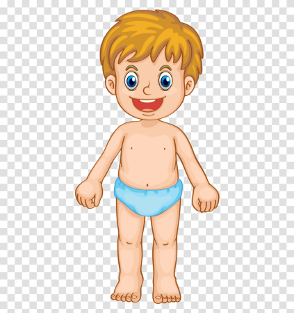 Тело человека для детей