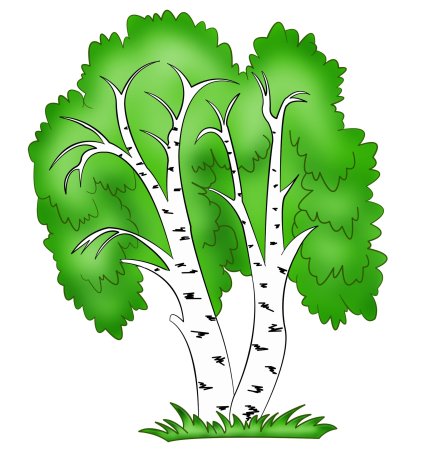 Береза мультяшная