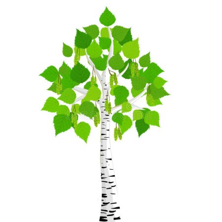 Дерево Березки для детей