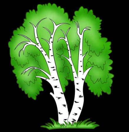 Береза мультяшный