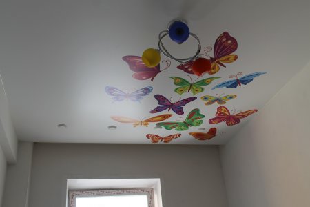 Натяжные потолки с бабочками и птичками