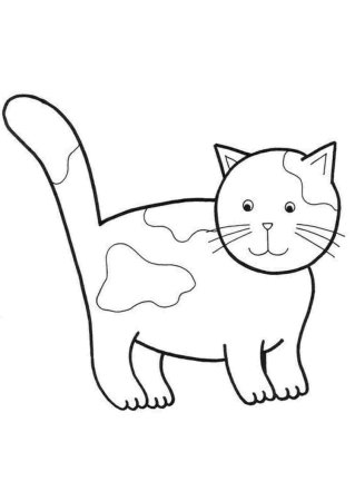 Раскраска кот