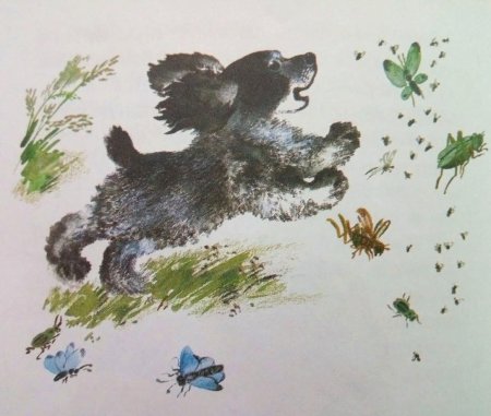 Евгений Чарушин Рябчонок