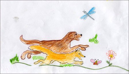 Чарушин друзья