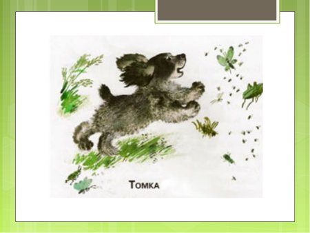 Чарушин е. и. "Томкины сны"