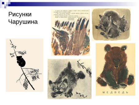 Евгений Иванович Чарушин иллюстрации большие и маленькие