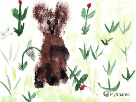 Рисование по Чарушину старшая группа