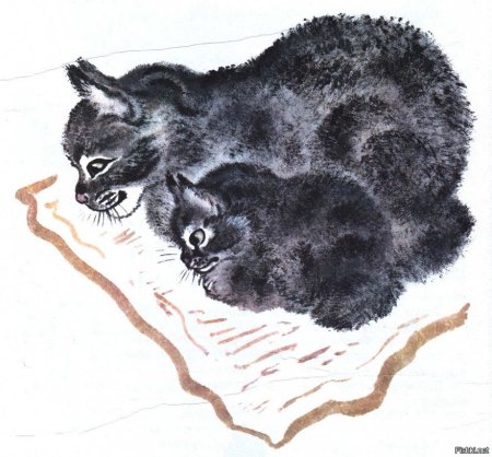 Чарушин Евгений Иванович иллюстрации