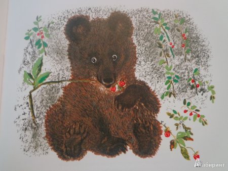 Евгений Чарушин Медвежонок
