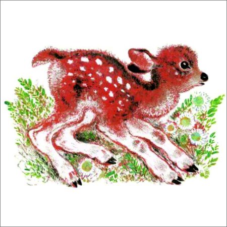 Евгений Чарушин зверята иллюстрации