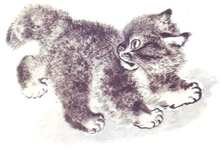 Евгений Чарушин Тюпа маленький