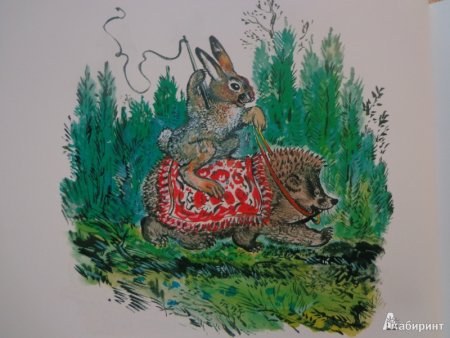 Евгений Чарушин заяц