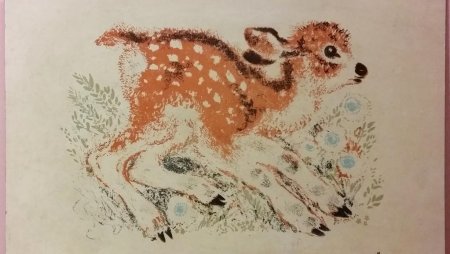 Иллюстрации Евгения Чарушина к детским книгам