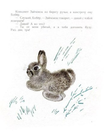 Иллюстрации к рассказам Чарушина для детей