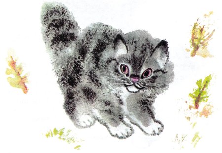 Чарушин Тюпа