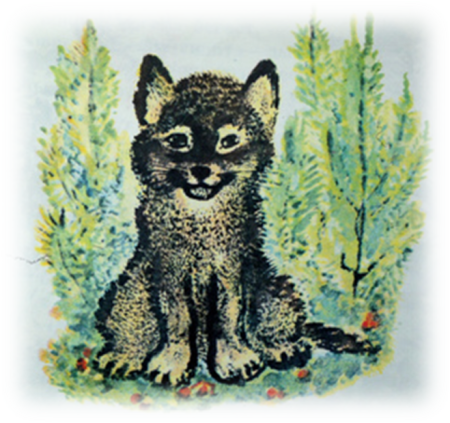 Чарушин Евгений Иванович Волчишко