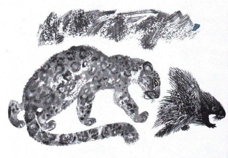 Чарушин тигр