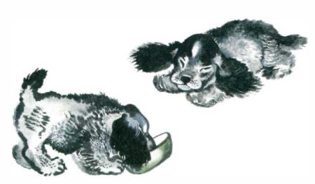 Евгений Иванович Чарушин Томка