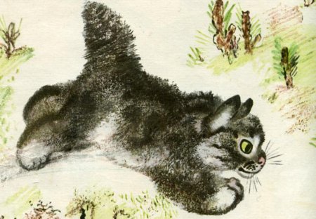 Е Чарушин Тюпа