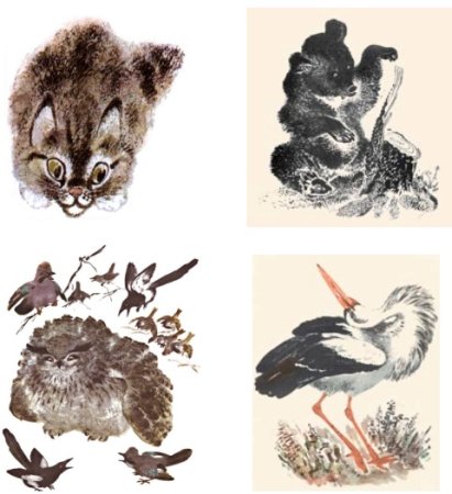 Чарушин Евгений Иванович иллюстрации