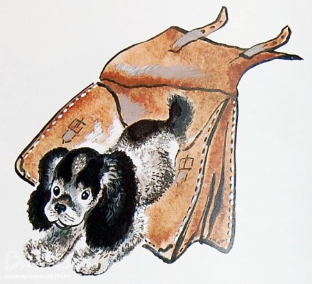 Евгений Иванович Чарушин Томка