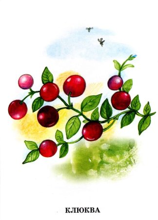 Рисование с детьми ягоды