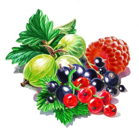 Ягоды для детей